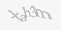 Захисний код
