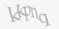 Захисний код